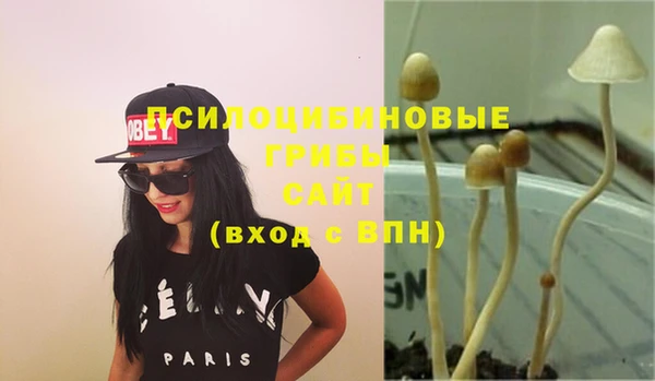 прущая мука Беломорск