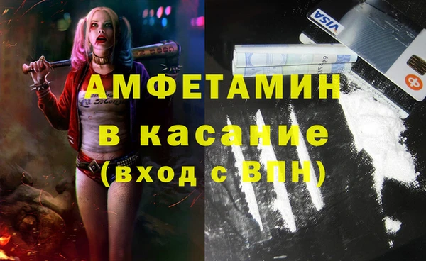 прущие грибы Корсаков