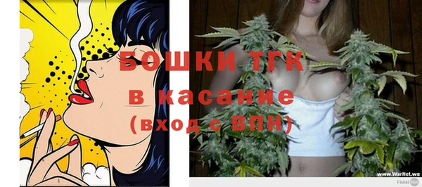 гашик Костерёво