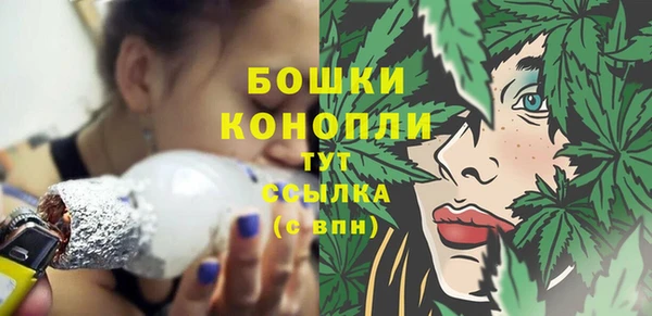 ECSTASY Белокуриха