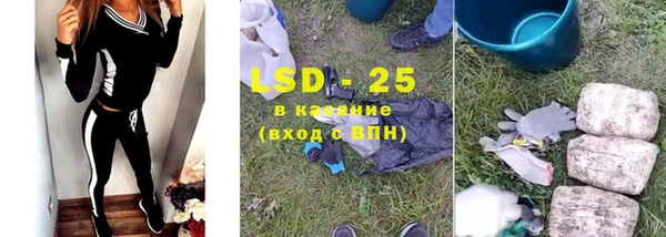 ECSTASY Белокуриха