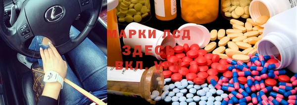 ECSTASY Белокуриха