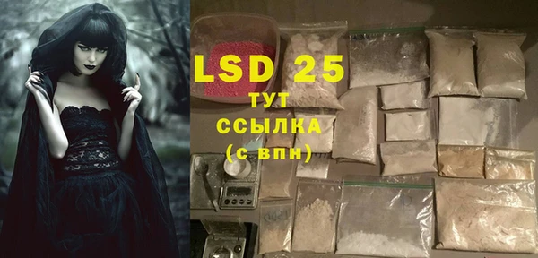 ECSTASY Белокуриха