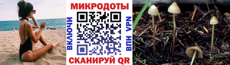 Галлюциногенные грибы GOLDEN TEACHER  Пионерский 